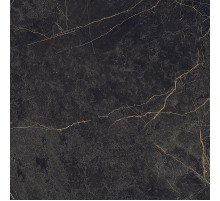 Керамогранит Ariana Epoque Black Lap PF60004311 60x60 см