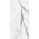 Керамогранит Ariana Epoque White Statuario Ret PF60004770 60x120 см