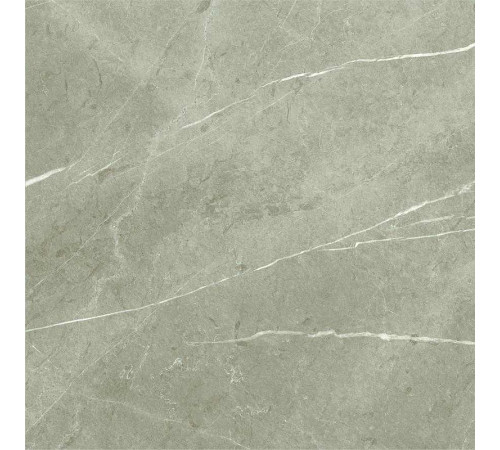 Керамогранит Baldocer Eternal Taupe Natural 60х60 см