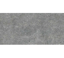 Керамогранит Argenta Etienne Grey RC 30x60 см