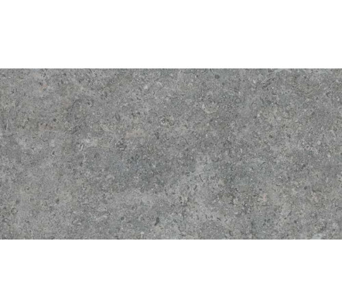 Керамогранит Argenta Etienne Grey RC 30x60 см