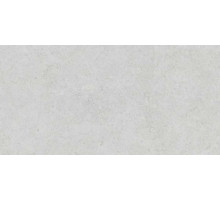 Керамогранит Argenta Etienne White RC 30x60 см
