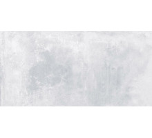 Керамическая плитка Laparet Etnis светло-серый настенная 18-00-06-3644 30х60 см