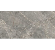 Керамогранит Rex (Florim) Еtoile de Rex Gris Glossy Ret 761680 60х120 см