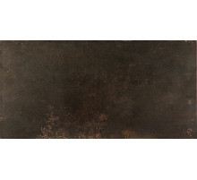 Керамогранит Ceracasa Evolution Lapatto Rect Bronce 49,1х98,2 см