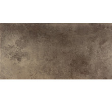 Керамогранит Ceracasa Evolution Lapatto Rect Titanio 49,1х98,2 см