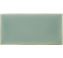 Керамическая плитка WOW Fayenza Fern настенная 6,25x12,5 см