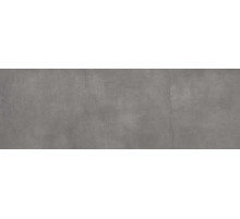 Керамическая плитка Lasselsberger Ceramics Fiori Grigio темно-серый 1064-0046/ 1064-0101 настенная 20х60 см
