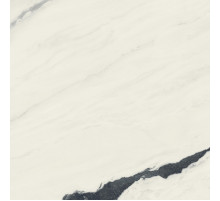 Керамогранит Atlas Concorde Russia Forte Dei Marmi Panda White Rett 610010002717 80х80 см