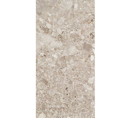 Керамогранит Fioranese Frammenta Grigio Chiaro nat/rett CG623R 60,4х120,8 см