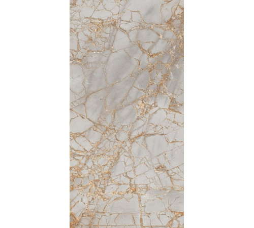 Керамогранит Primavera Golden Grey Polished PR212 60x120 см