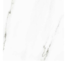 Керамогранит Dako Harmony Белый Рект E-3010/MR/600x600x9 60х60 см