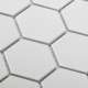 Керамическая мозаика StarMosaic Hexagon small White Matt MT31000/LJ5108/IDL1005 26,5x27,8 см