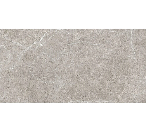 Керамогранит Tuscania Ceramiche Holystone Grey R63HO.GY 61х122,2 см