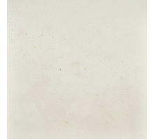 Керамогранит Fioranese I Cocci Calce nat/rett IC901R 90х90 см