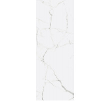 Керамогранит Fanal Iceberg 118 Nplus OOER01 45х118 см