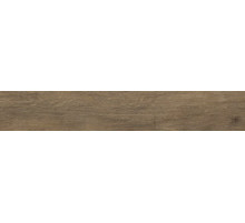 Керамогранит Marazzi Ragno Inedito Cenere 00RADZ04 20х120 см