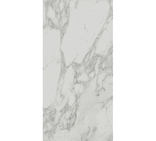 Керамогранит Edilcuoghi Edilgres Italian Marble Im Arabesque White Matte n149500 60х120 см