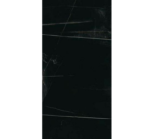 Керамогранит Edilcuoghi Edilgres Italian Marble Im Sahara Noir Polished n149501 60х120 см