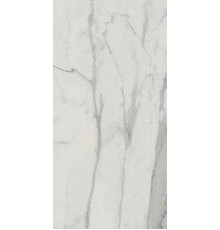 Керамогранит Edilcuoghi Edilgres Italian Marble Statuario Matte n149495 60х120 см