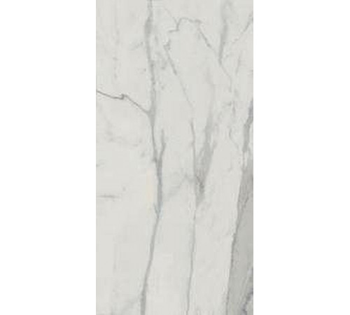 Керамогранит Edilcuoghi Edilgres Italian Marble Statuario Matte n149495 60х120 см