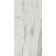 Керамогранит Edilcuoghi Edilgres Italian Marble Statuario Matte n149495 60х120 см