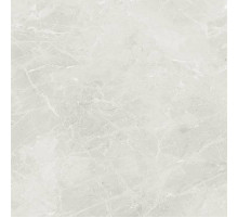 Керамогранит Dako Liberty Светло-серый E-3014/M/600x600x9 60х60 см