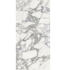 Керамогранит Fusure Ceramic Luxury Stone SS12046 60х120 см