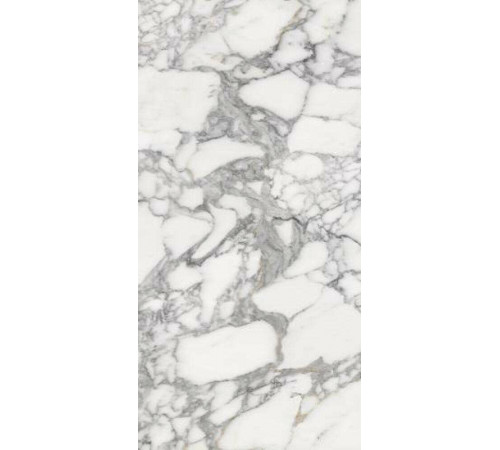 Керамогранит Fusure Ceramic Luxury Stone SS12046 60х120 см