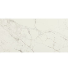 Керамогранит Pamesa Ceramica Marbles Lucca Blanco 004.869.0012.02872 60х120 см