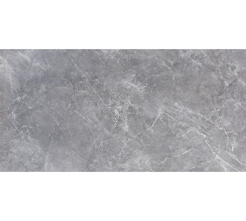 Керамогранит Pamesa Ceramica Marbles Ascolano Gris 004.869.0002.00744 60х120 см