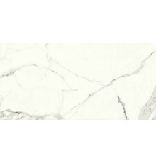 Керамогранит Ariostea Marmi Classici Bianco Calacatta soft rett P612527 60x120 см