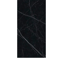 Керамогранит Ariostea Marmi Classici Nero Marquinia lev silk PK612547 60x120 см