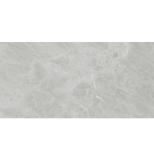 Керамогранит Ariostea Marmi Classici Gris de Savoie luc rett PL612498 60x120 см