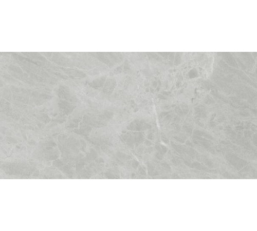 Керамогранит Ariostea Marmi Classici Gris de Savoie luc rett PL612498 60x120 см