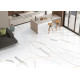 Керамогранит NT Ceramiс Marmo Maritaca Statuario Ultra White NTT99513M 60х120 см