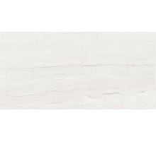 Керамическая плитка AltaCera Modern Light WT9MOR00 настенная 24,9х50 см