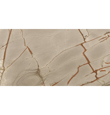 Керамогранит Casa Dolce Casa Nature Mood Rainforest Glossy 6mm 774902 60х120 см