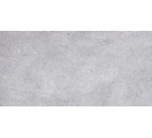 Керамогранит Primavera Nemo Light grey NR211 60х120 см