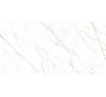 Керамогранит Alma Ceramica Neo Calacatta GFU60120NCL04R 60х120 см