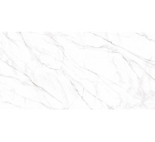 Керамогранит Alma Ceramica Neo Calacatta GFU60120NCL07R 60х120 см