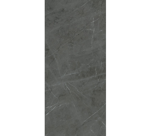 Керамогранит Ariana Nobile Grey Grafite Lux+ PF60006313 60x120 см