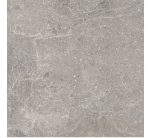 Керамогранит Porcelanosa Noir Topo 100308556 120x120 см