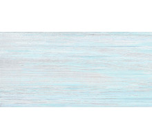Керамическая плитка Alma Ceramica North TWU09NRT606 настенная 24,9х50 см