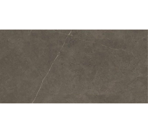 Керамогранит Keratile P.E. Northon Pul Rect. Taupe 59х119 см