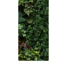 Керамогранит 41Zero42 Paper41 Pro Jane D 4100154 50х100 см
