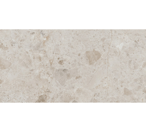 Керамогранит Argenta Petra Taupe Matt Rect 10555-0001 60х120 см