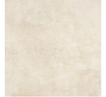 Керамогранит Naxos Ceramica Pictura VELEIA SOFT 124766 60x60 см