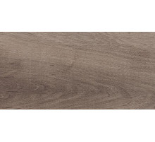 Керамическая плитка Laparet Plant коричневый настенная 08-01-15-2685 20х40 см