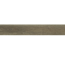 Керамогранит ABK Poetry Wood Oak Nat PF60010060 20х120 см